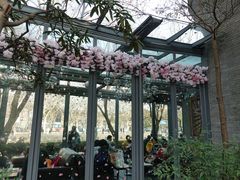 -星巴克(西湖天地店)