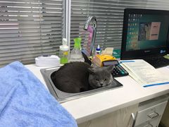-美美宠物诊疗中心·异宠·骨科(滨江东信分院)