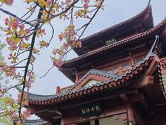 -堤角公园