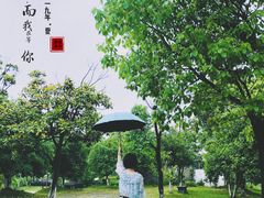 -杏花村文化旅游区