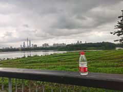 -海珠湖公园