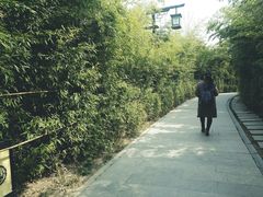 -西安汉城湖景区