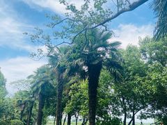 -同里湖度假村(二期店)