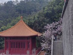 -南沙天后宫景区
