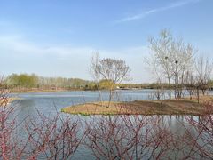 -东郊湿地公园