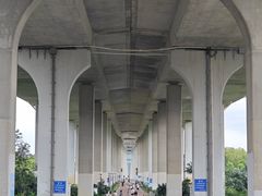 -中澳友谊花园