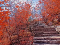 -周口店坡峰岭风景区