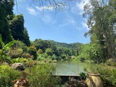 -深圳仙湖植物园