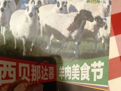 -西贝(华发商都店)