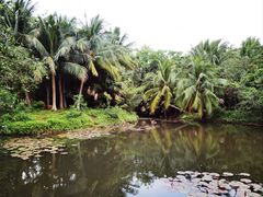 -白沙门生态公园