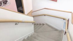 点击看大图 -WENDY·温迪皮肤管理