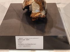 -北京周口店北京人遗址博物馆