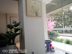 -榕树上·瑜伽普拉提