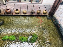 -几荷·恰似故人来(秀水广场店)