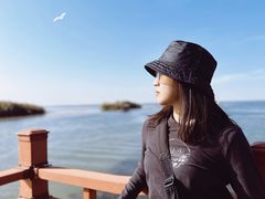 -乌梁素海景区