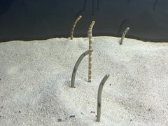-欢乐海岸海洋奇梦馆