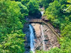 -广州白江湖森林公园