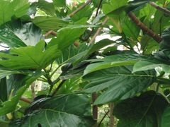 -南通洲际绿博园