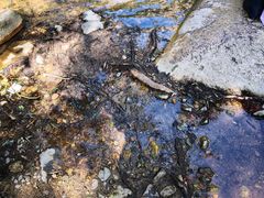 -碓臼峪自然风景区