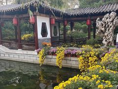 -沈阳植物园
