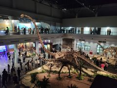 -自贡恐龙博物馆