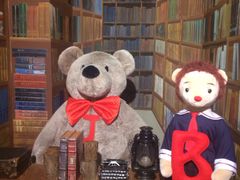 -济州岛泰迪熊博物馆