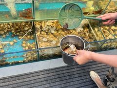 -仙螺岛海鲜自助餐厅(总店)