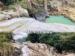 -海南霸王岭国家森林公园