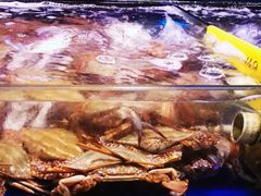 -四海之家(蛇口店)