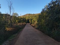 -长虫山生态公园风景林