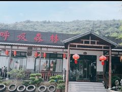 -呼吸森林·生态农庄农家乐私房菜