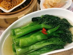 上汤富春菜心-点都德(大茶楼店)