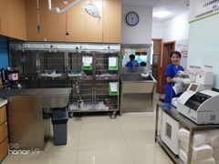 -宠福鑫动物医院(城北分院)