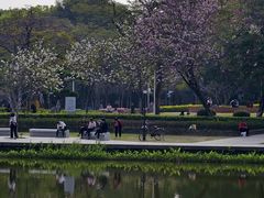-金砂公园