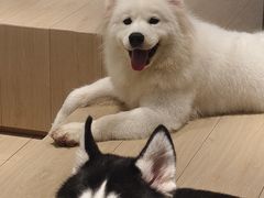 -瑞虹新天地月亮湾