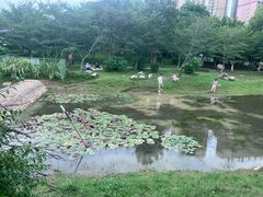 -堤角公园