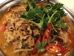 酸辣汤肥牛-龙记烧腊茶餐厅(常德路店)