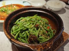 -天辣(金桥啦啦宝都店)