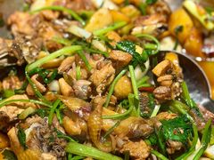 -九道菜有鸡鱼头(石鼓路店)