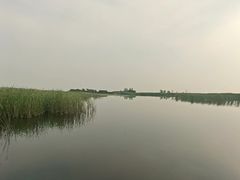 -白洋淀景区