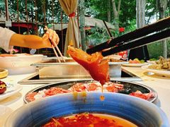 脆皮肠-二荆条·蜀鲜汇城市森林火锅