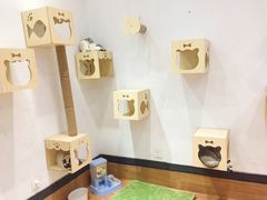 -猫色咖啡·猫咖