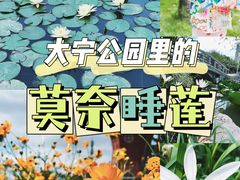 -大宁公园