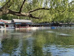 -百脉泉景区