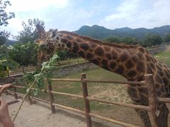 -西安秦岭野生动物园