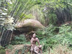 -铁山坪森林公园