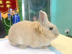 -雨林宠物医院 非犬猫异宠专科