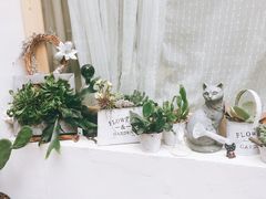 -拾壹cafe·工作室