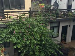 -浔岚云舍mist静谧观景美宿(丽江古城店)