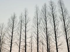 -黄兴公园